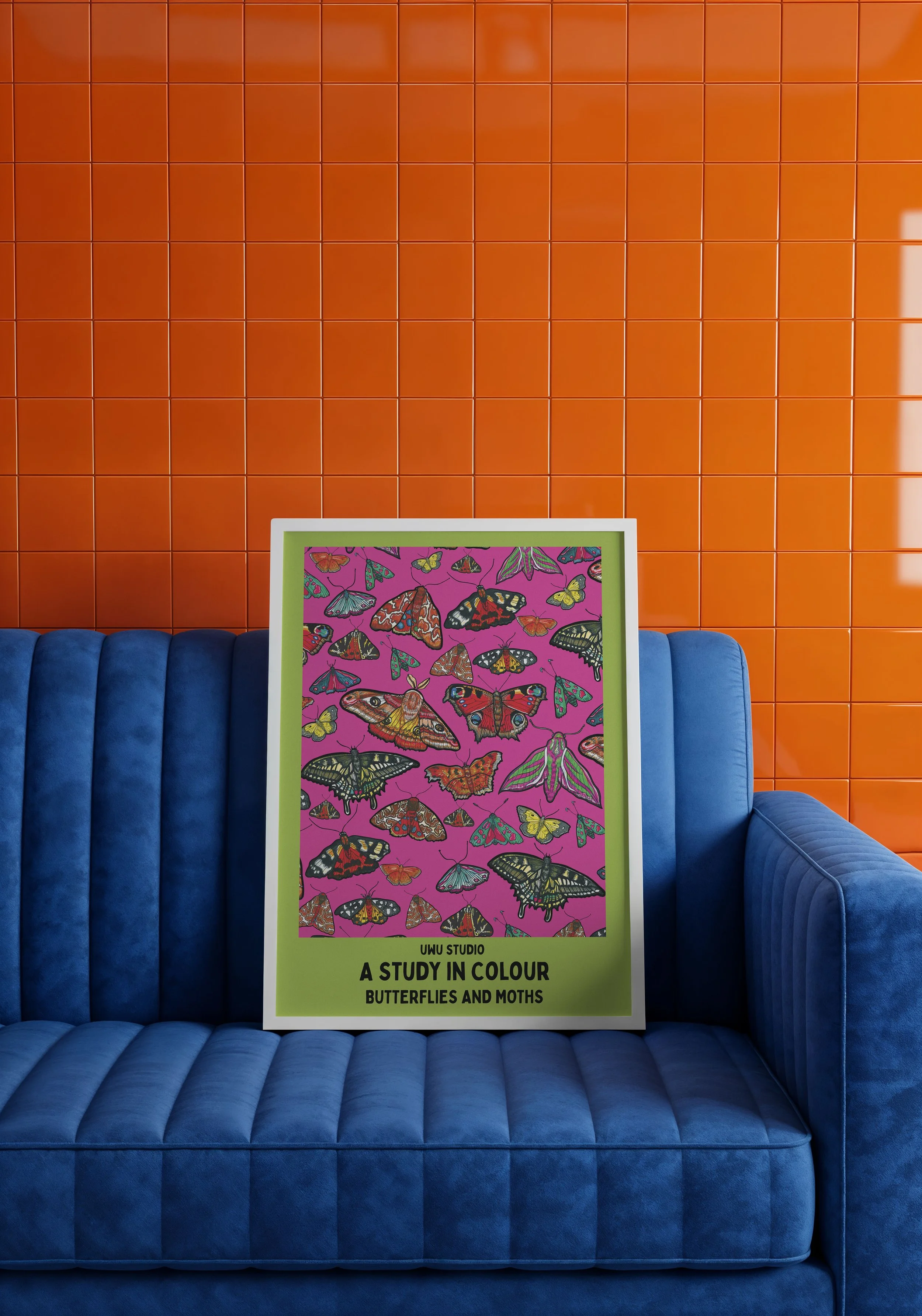 pink and green butterfly  - orange wall.jpeg