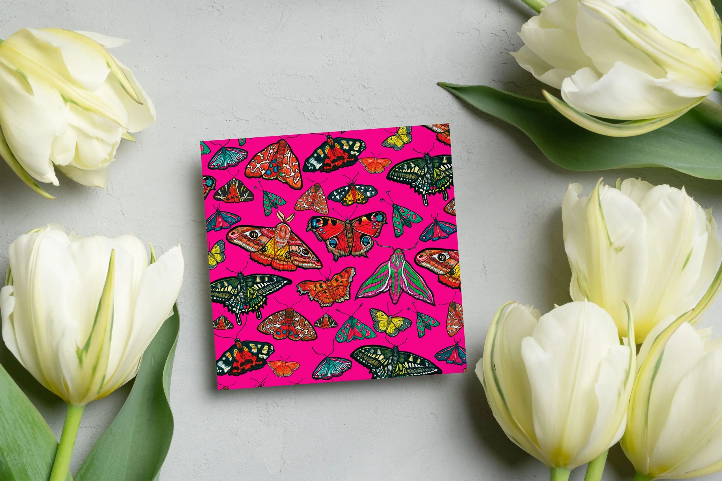 pink card butterfly 7 .jpeg