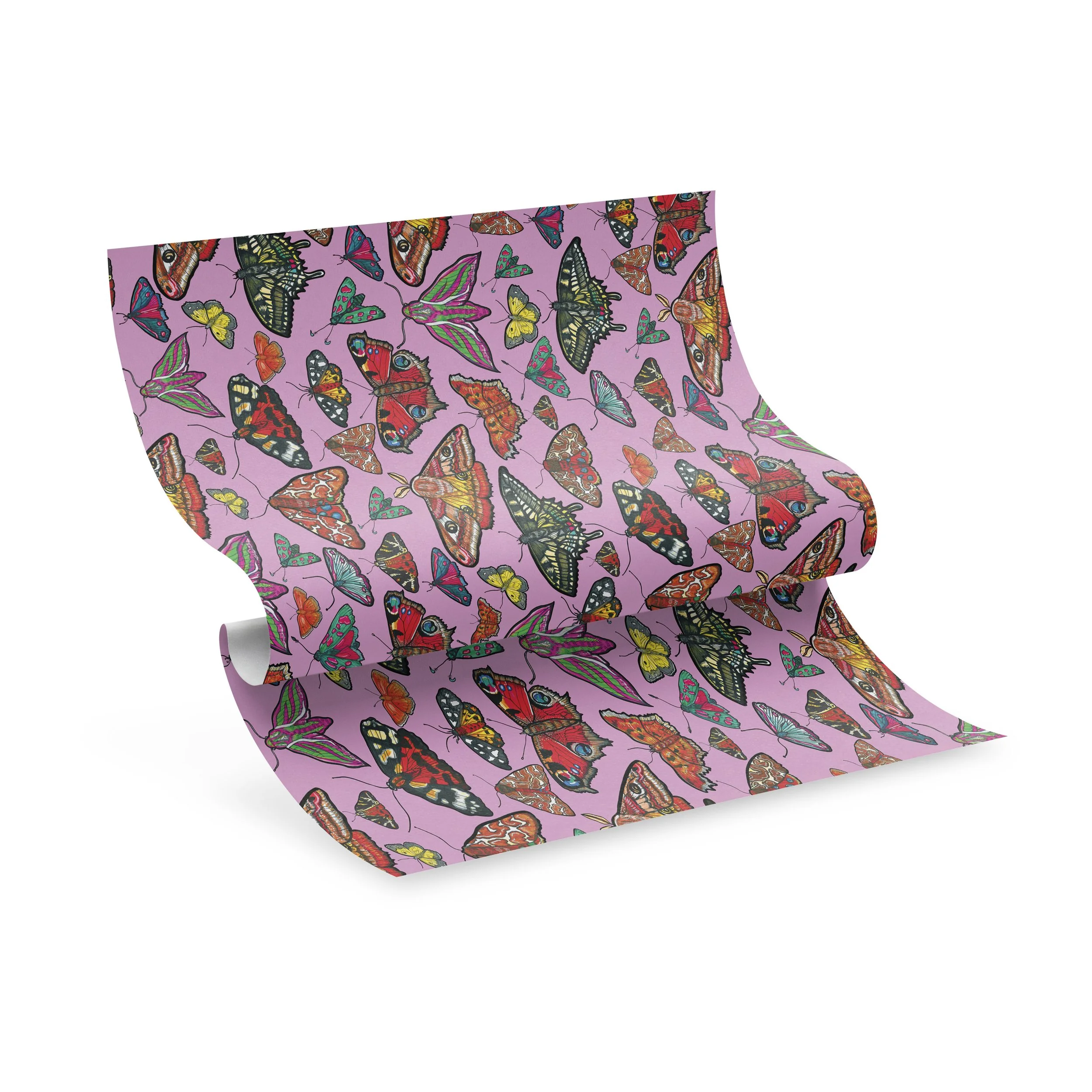 BUTTERFLY GIFT WRAP 3 .jpeg
