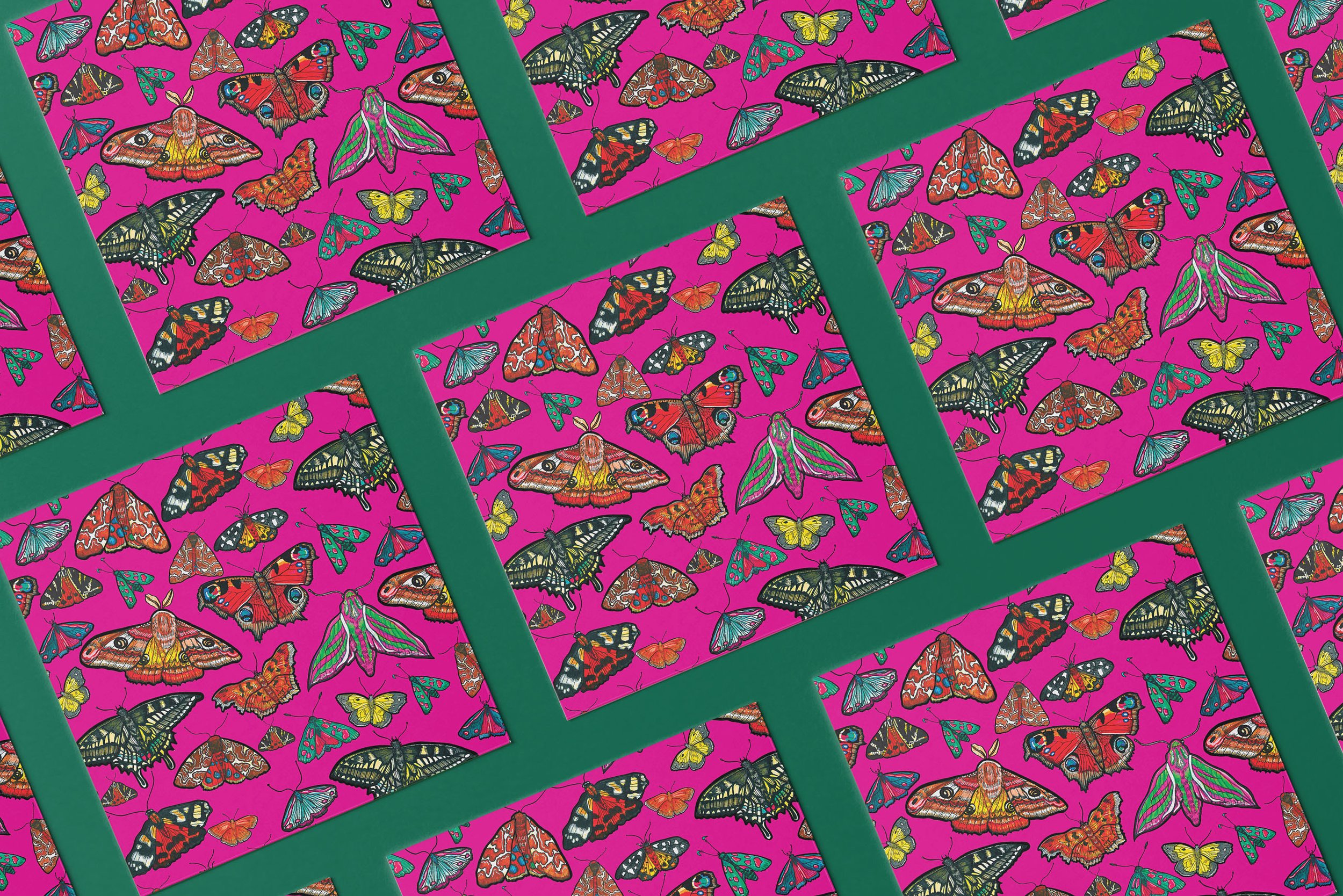 PINK BUTTERFLY 3 .jpeg