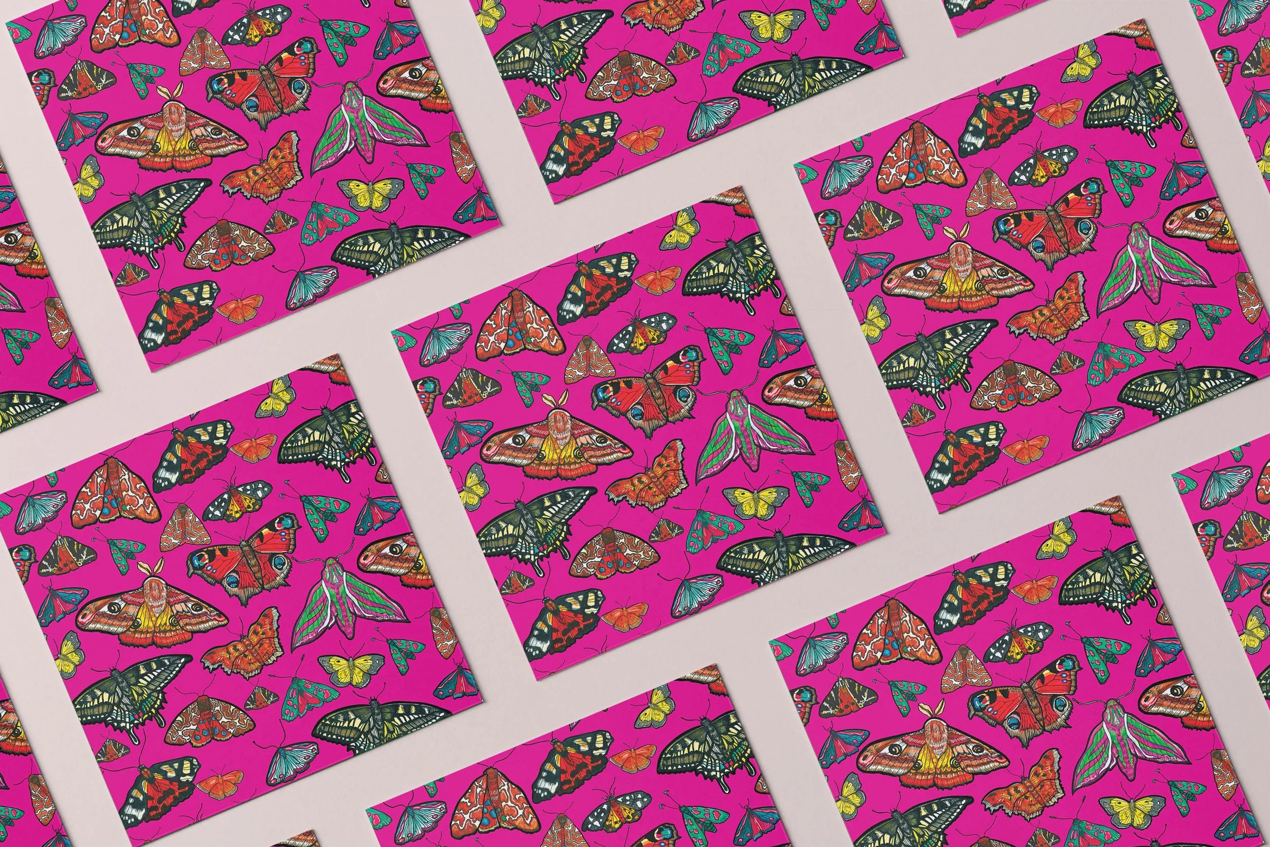 PINK BUTTERFLY 2 .jpeg