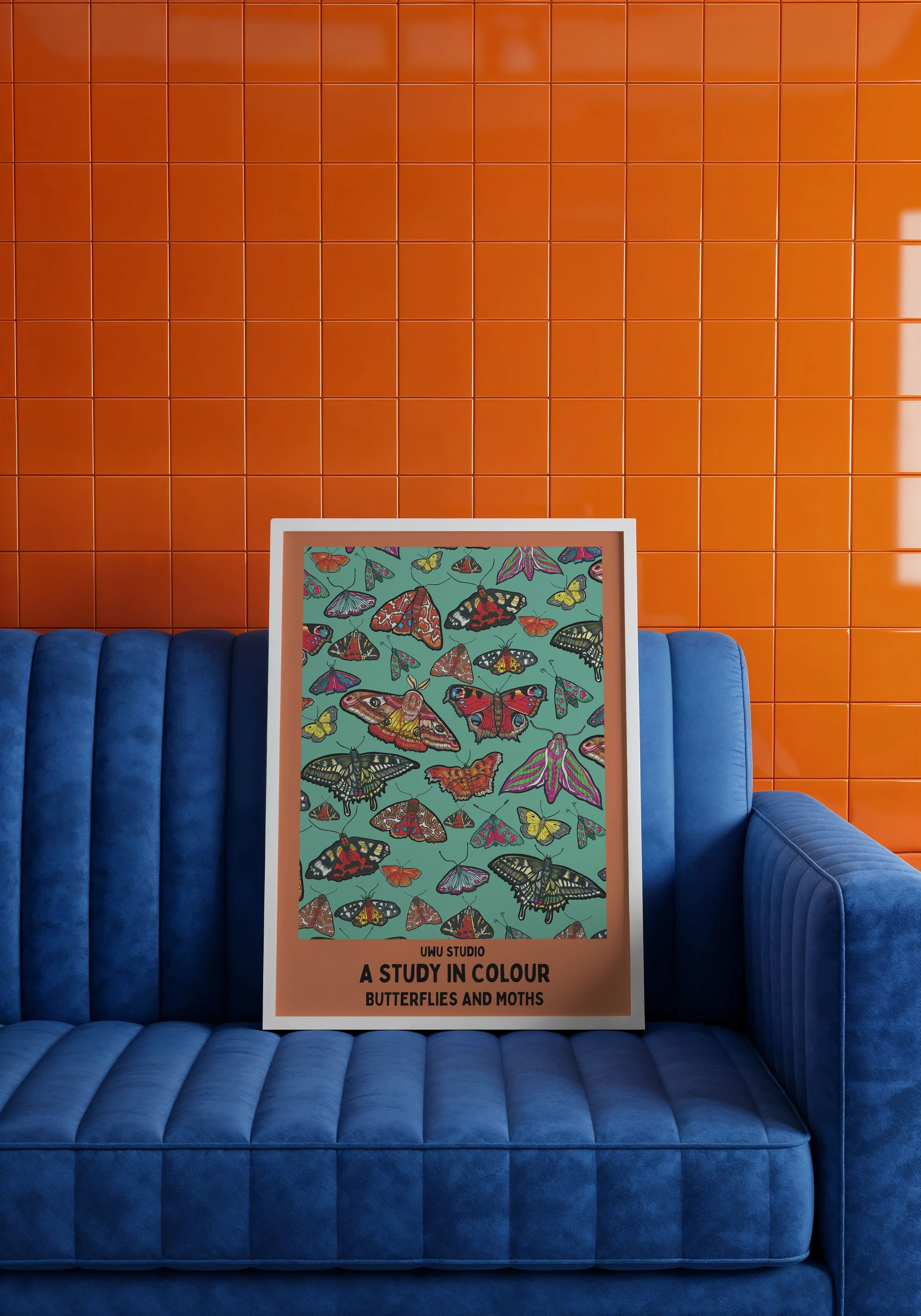 blue and orange butterfly orange wall .jpeg
