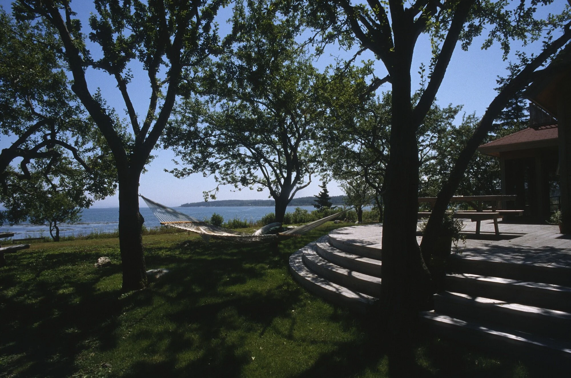 A-curved-deck-on-the-southeast-corner-flows-out-to-apple-trees-the-water-and-the-hammock.jpg