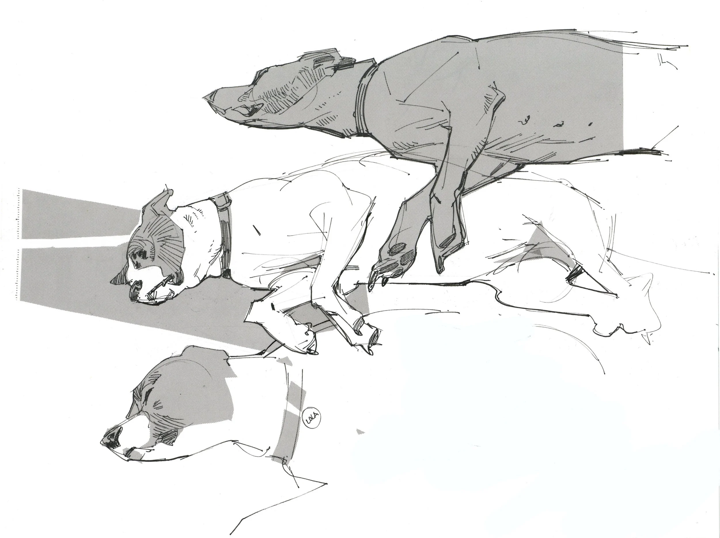 Copy of AnimalSketches_04.jpg