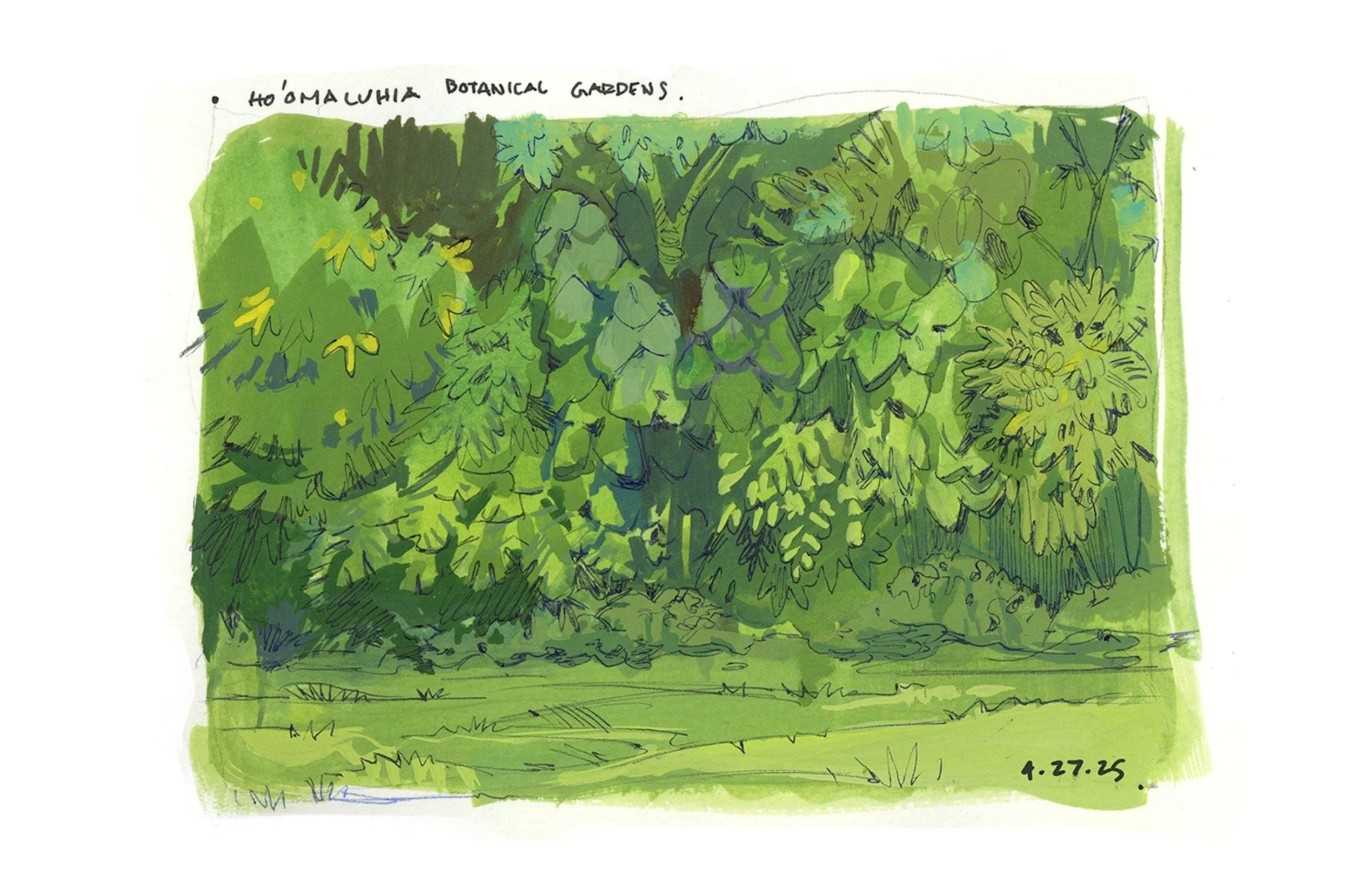 Hawaii_01.jpg