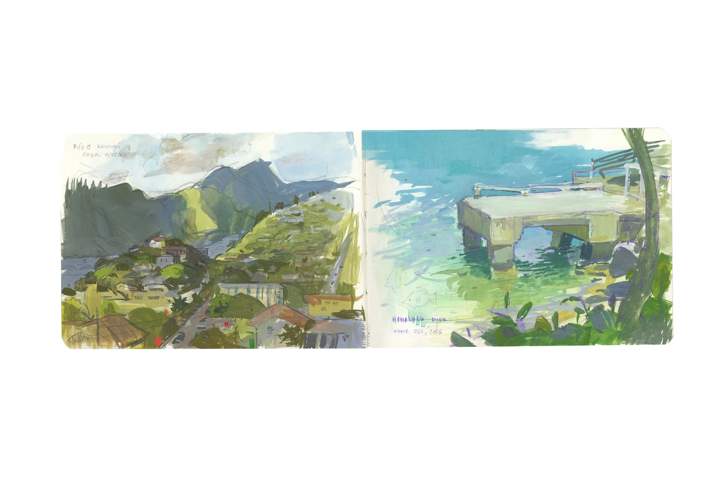 Copy of Hawaii_03.jpg