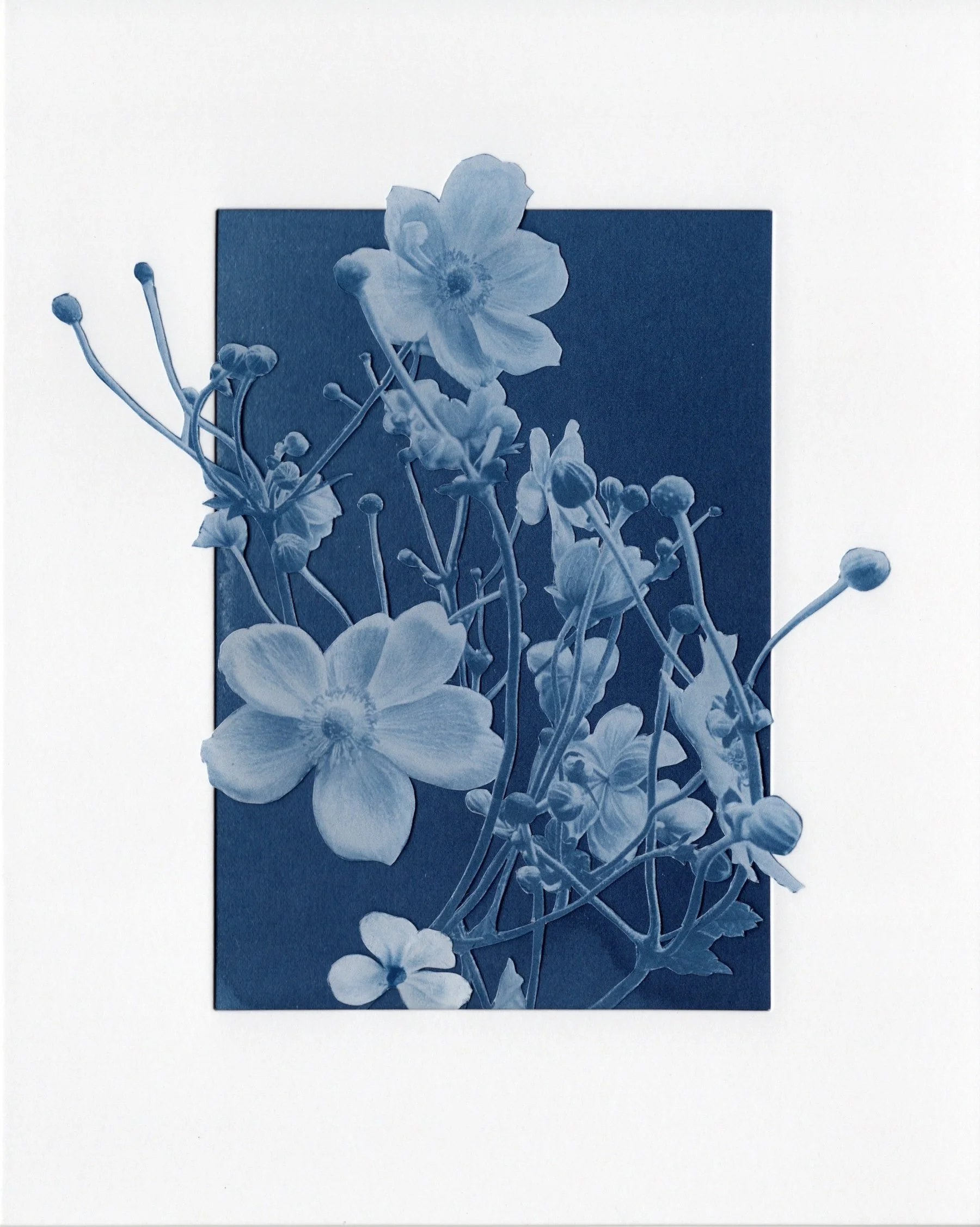 Crawley_Alana_Delicacies III.jpeg