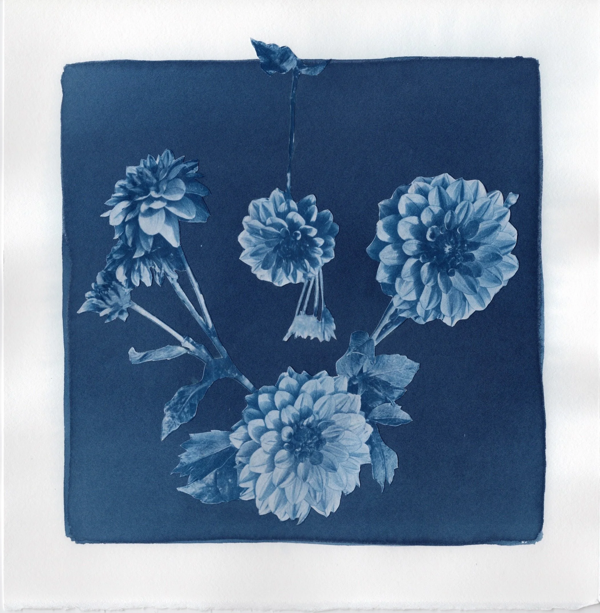 Crawley_Alana_Digging In.jpeg