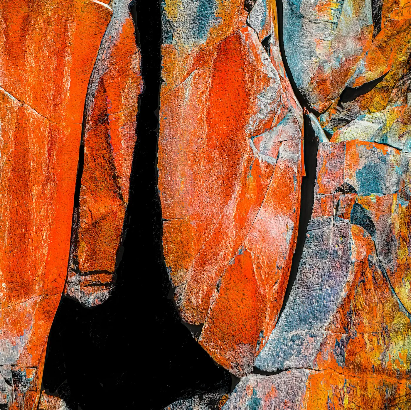 Sentinel's Gaze  IG.JPG