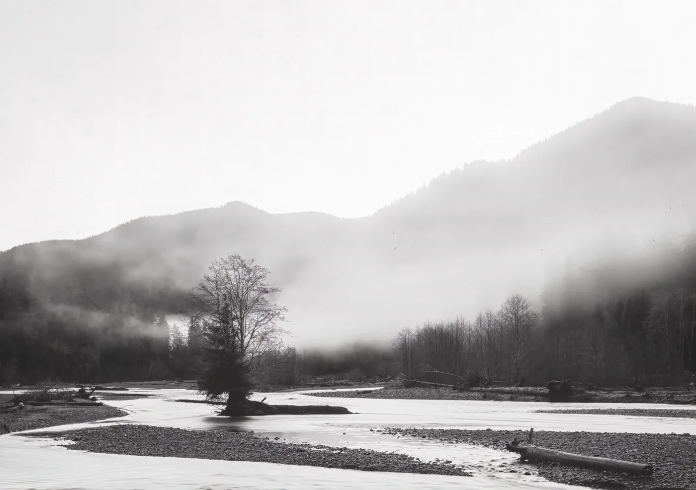 Hoh River Sunrise IG.JPG