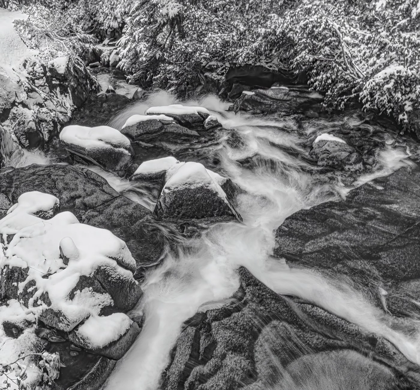 Looking From Above IG.JPG