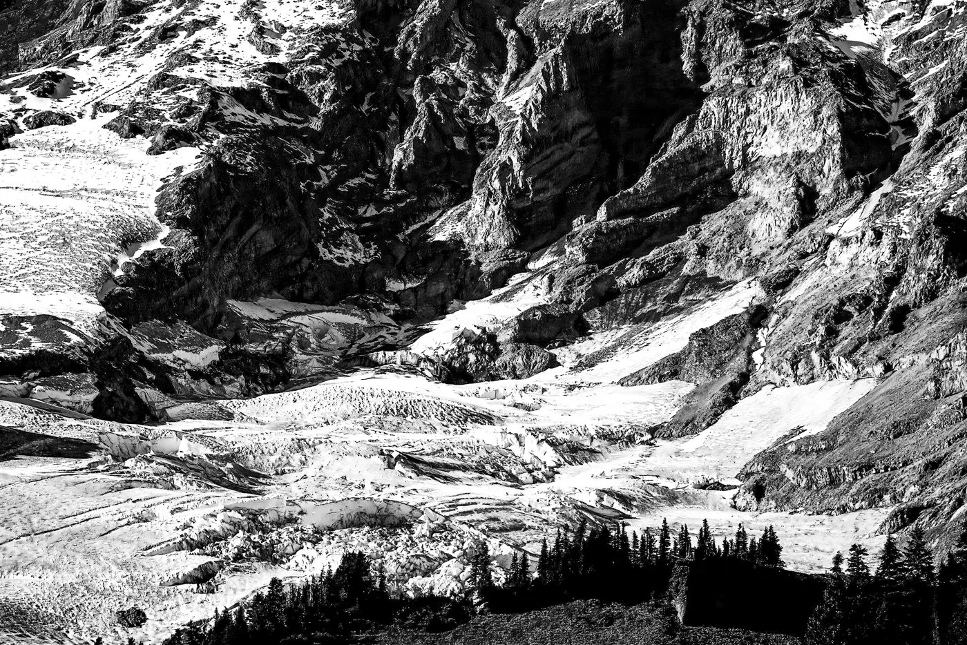 Rainier Glacier Bowl IG.JPG
