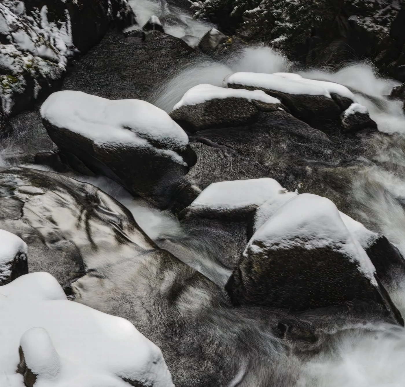 Swimming with the Sage IG.JPG