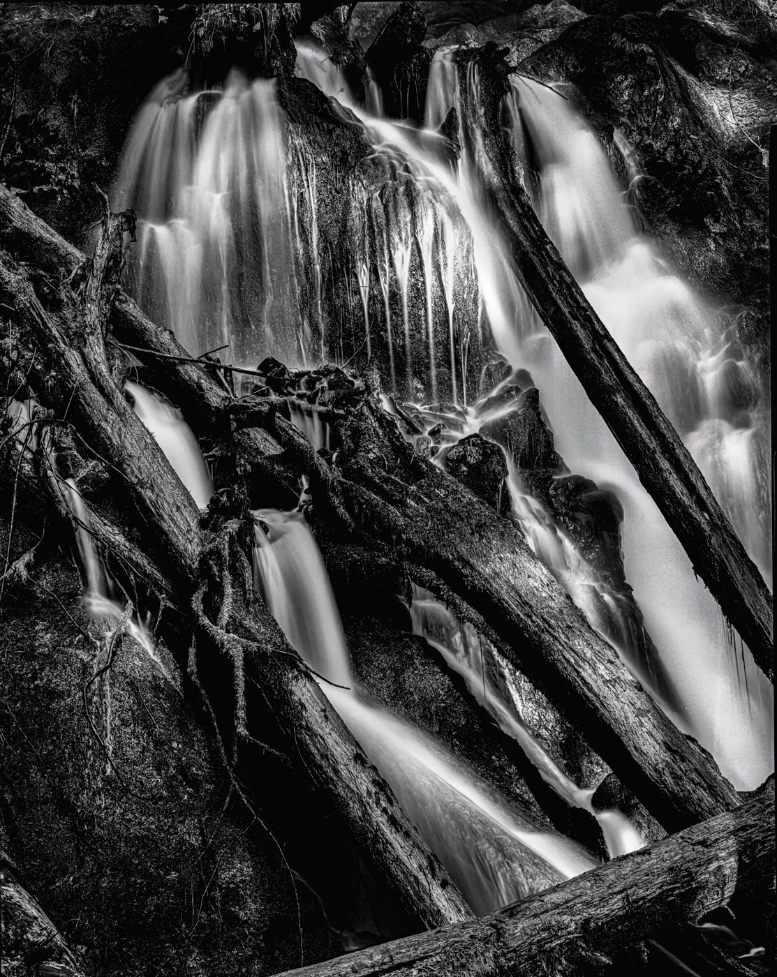 Trees and Water Channels IG.JPG