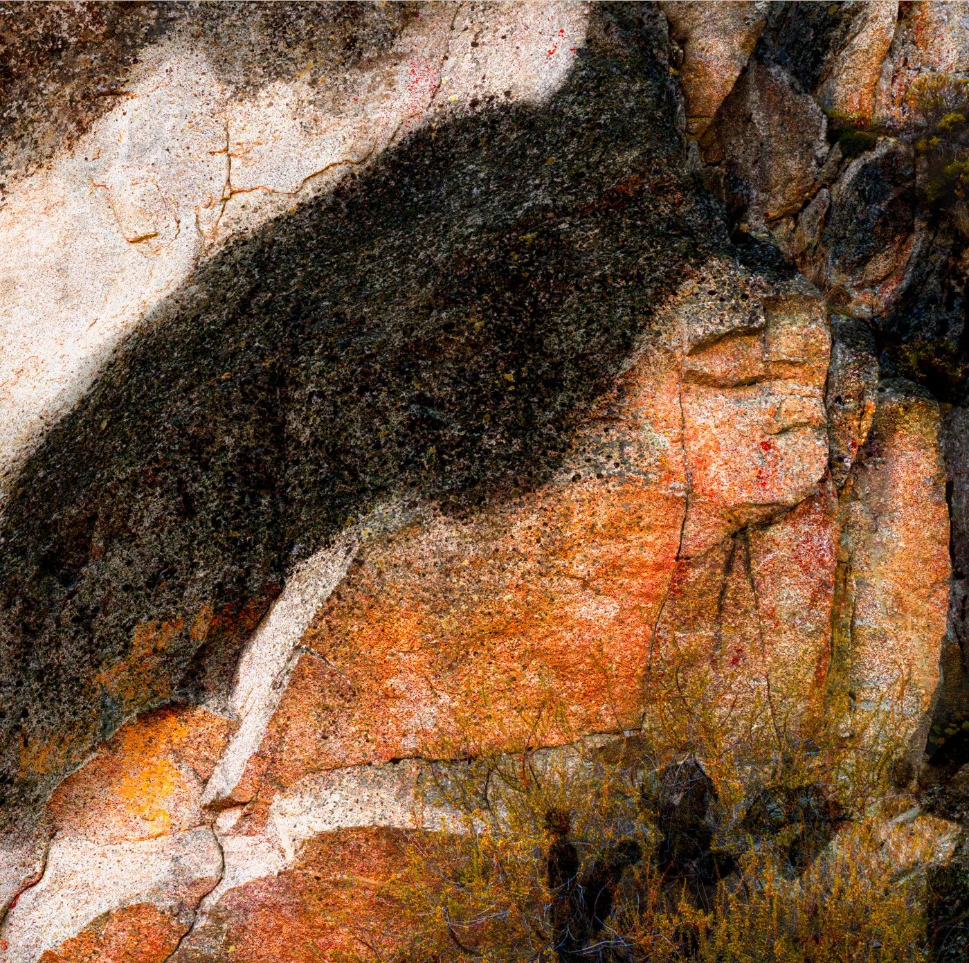 Stone Guardian ig b.jpg