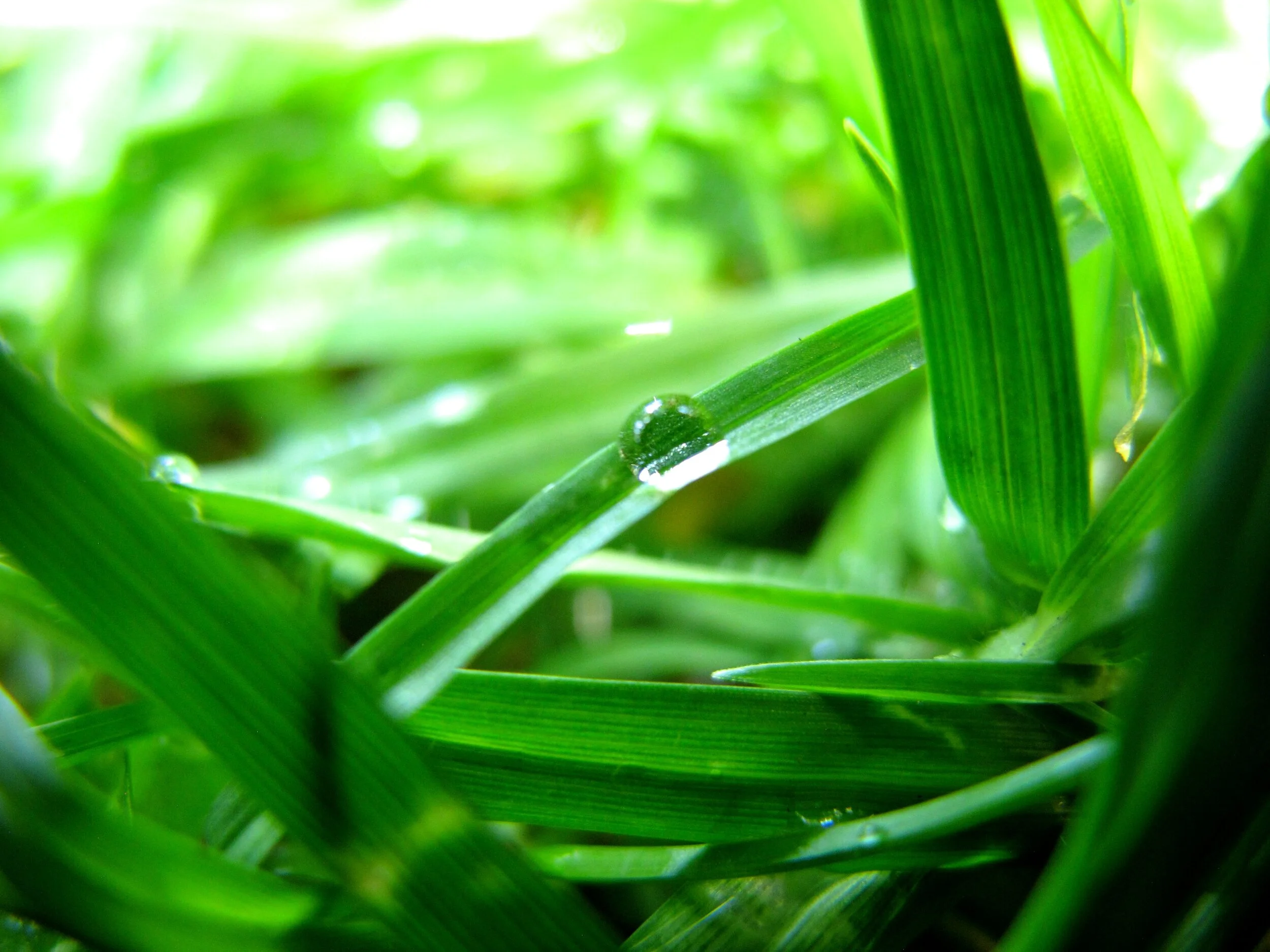 Field-based photography workshop outdoors highlighting mindfulness and observation