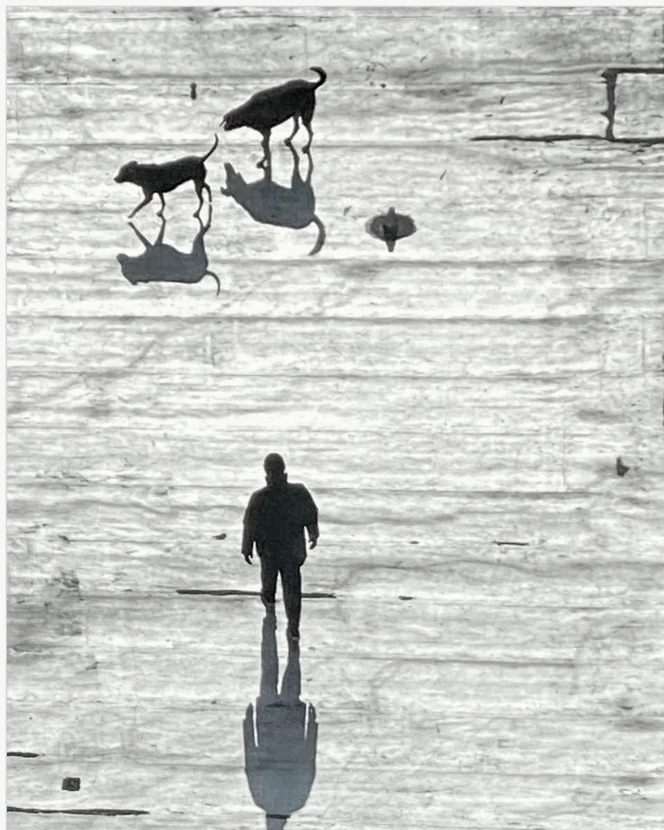 Andrea Passarella mindfulness photography workshops
