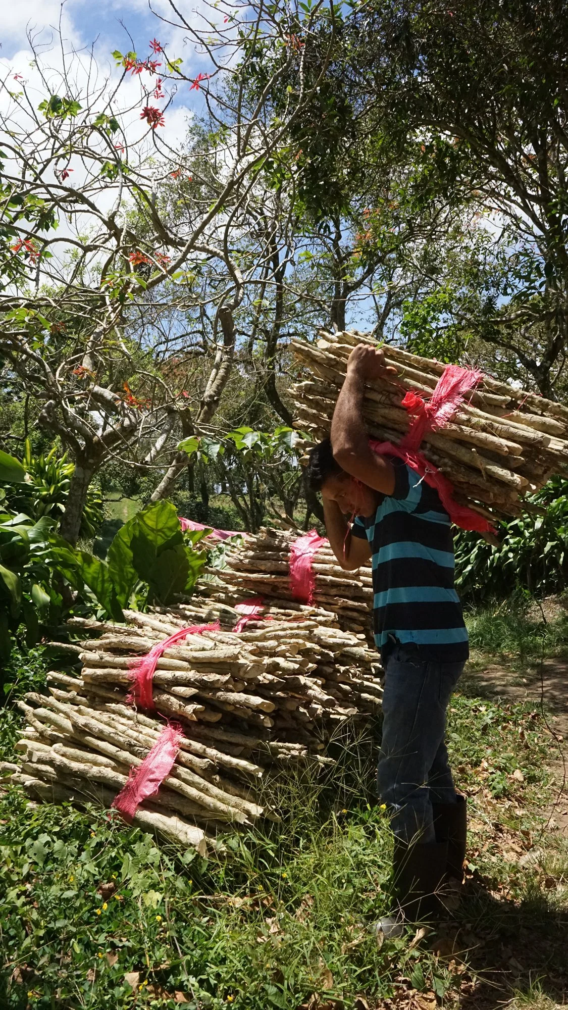 BELOW THE LINE 5.jpg