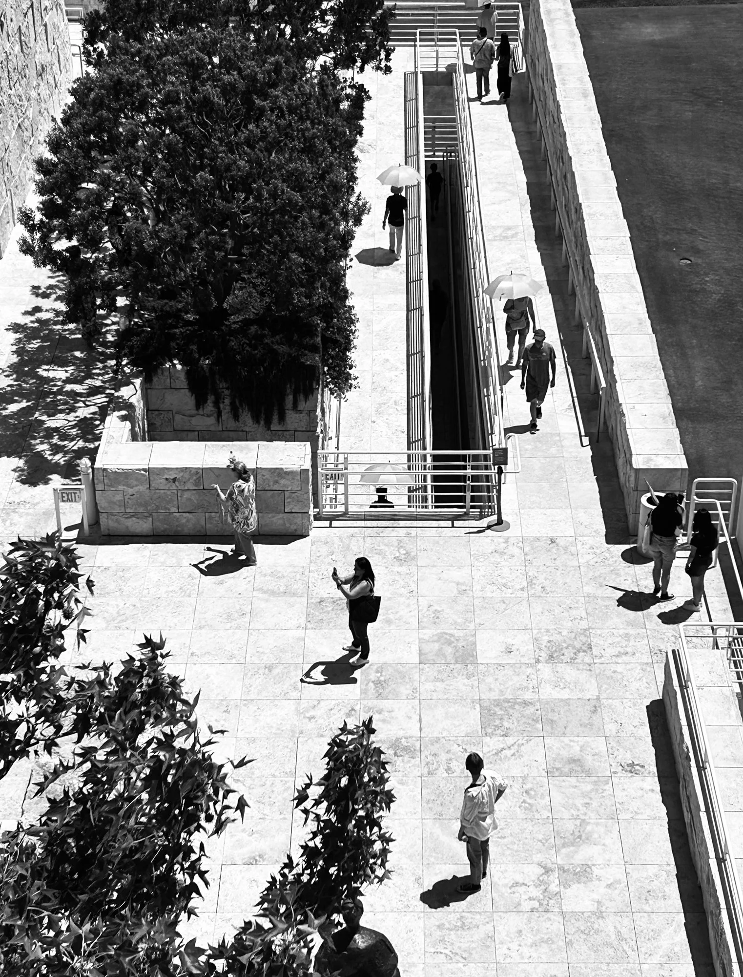 ART OF THE MUSEUM 1.jpeg