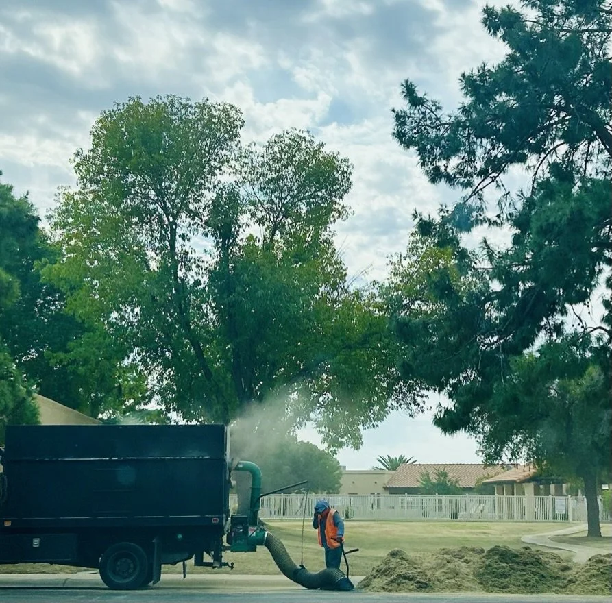 BELOW THE LINE 1.jpeg