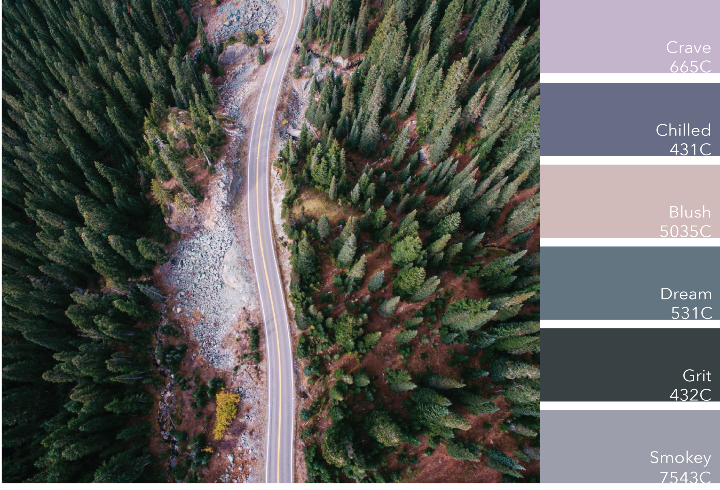 color.png