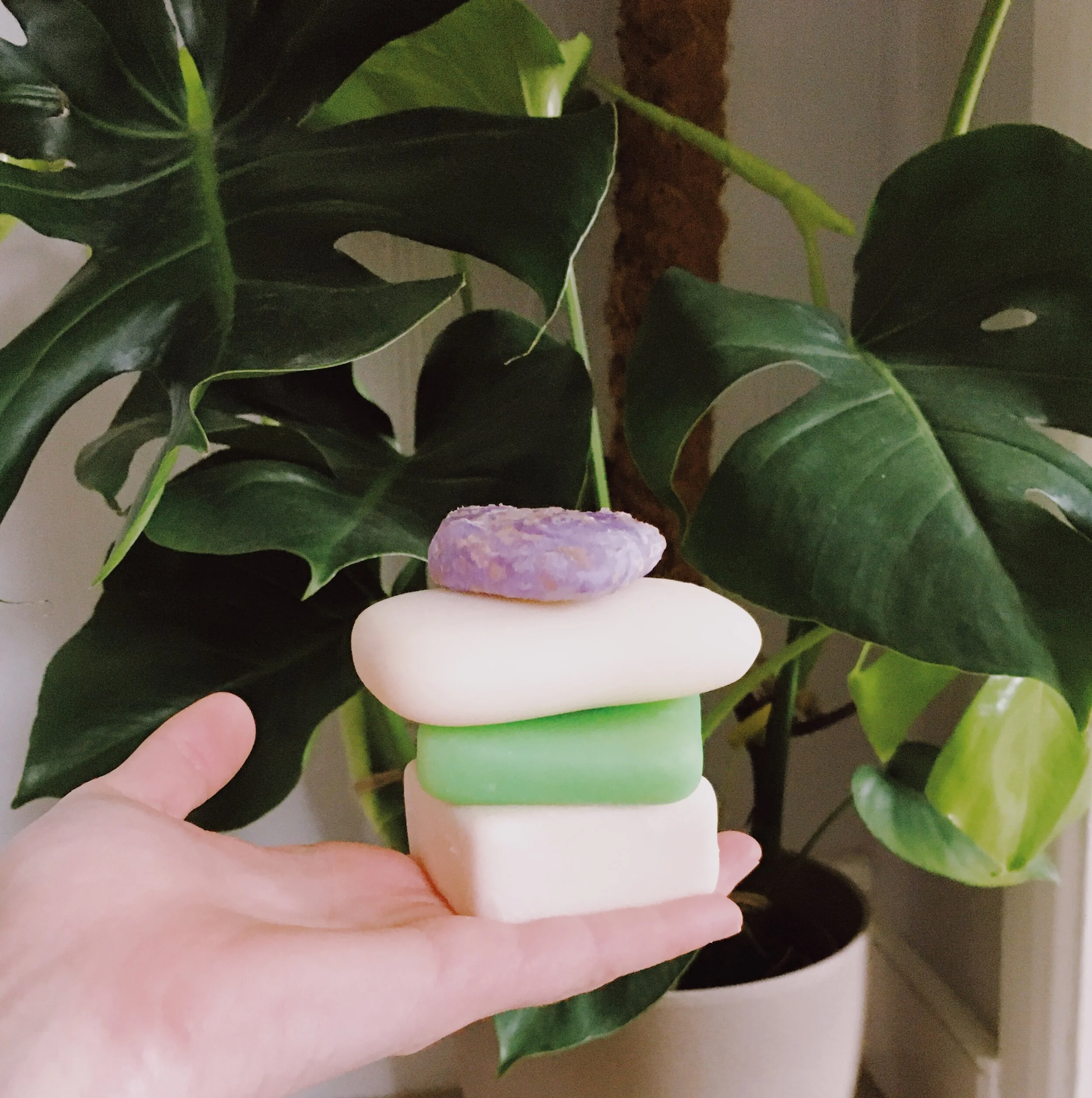Zero Waste Hair Care. Switching to solid shampoo.