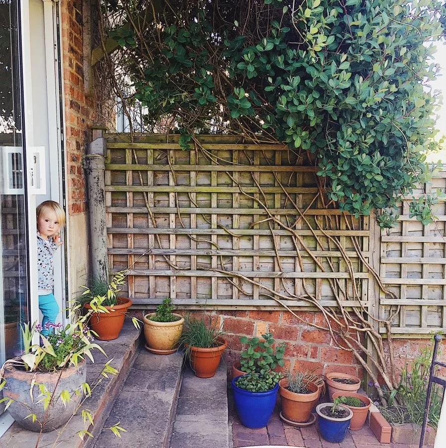 Cheap and Sustainable Garden Landscaping. Your how to. 