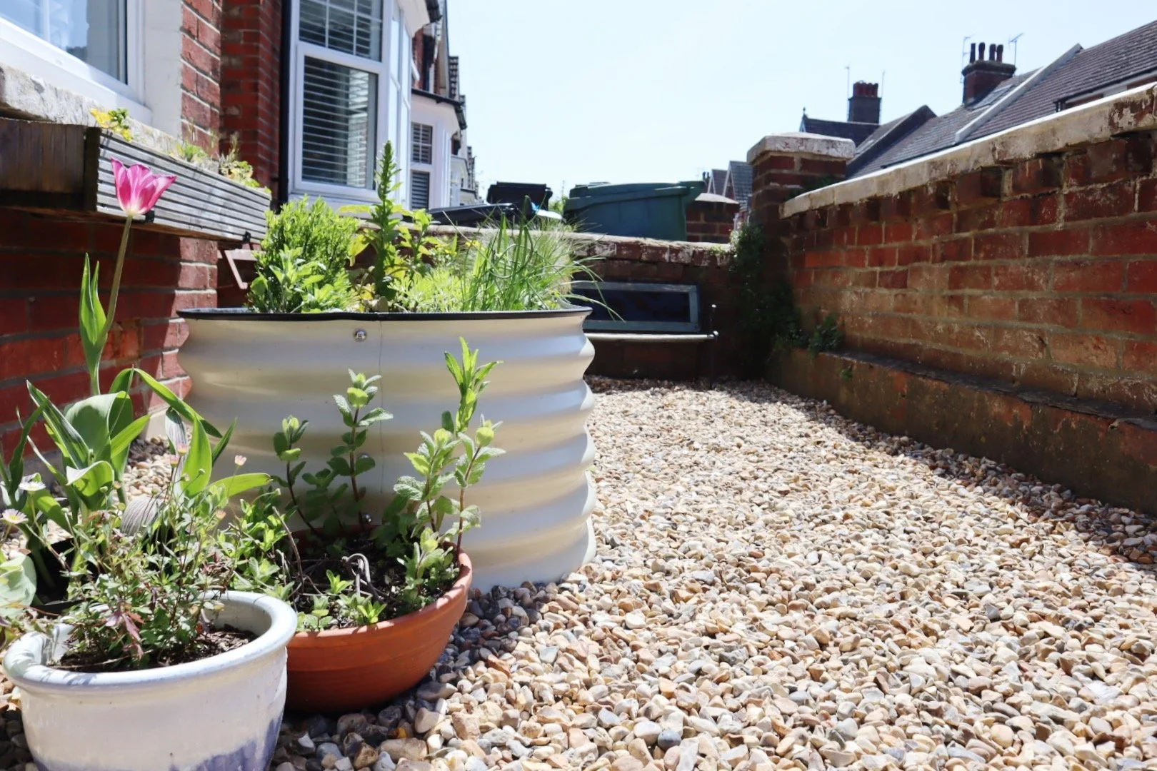 Vegega Metal-Raised Bed Review.