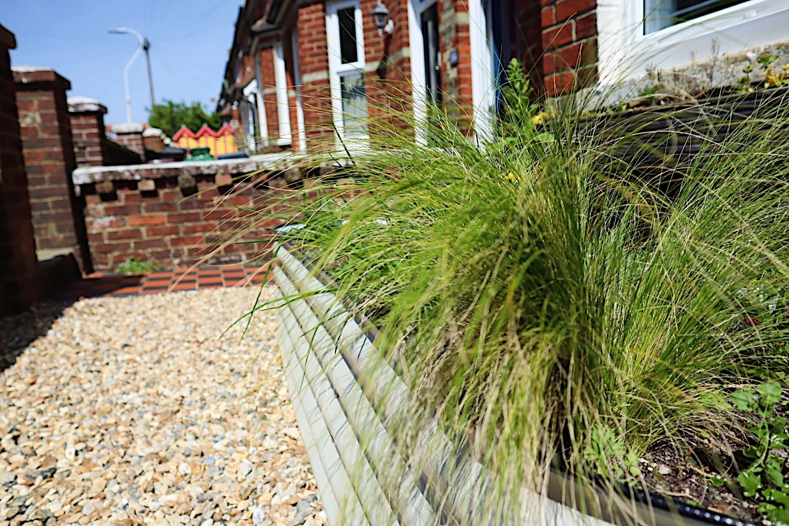 vegega raised beds with ornamental grasses growing over the side