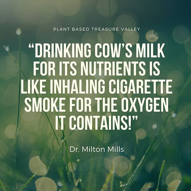 Cow's milk is great for baby cows, not for humans.

Replace animal milk with plant milks because plants are the optimal foods for humans.

Check out Dr. Milton Mills' website and published research to learn more about comparative anatomy.
drmillsplan