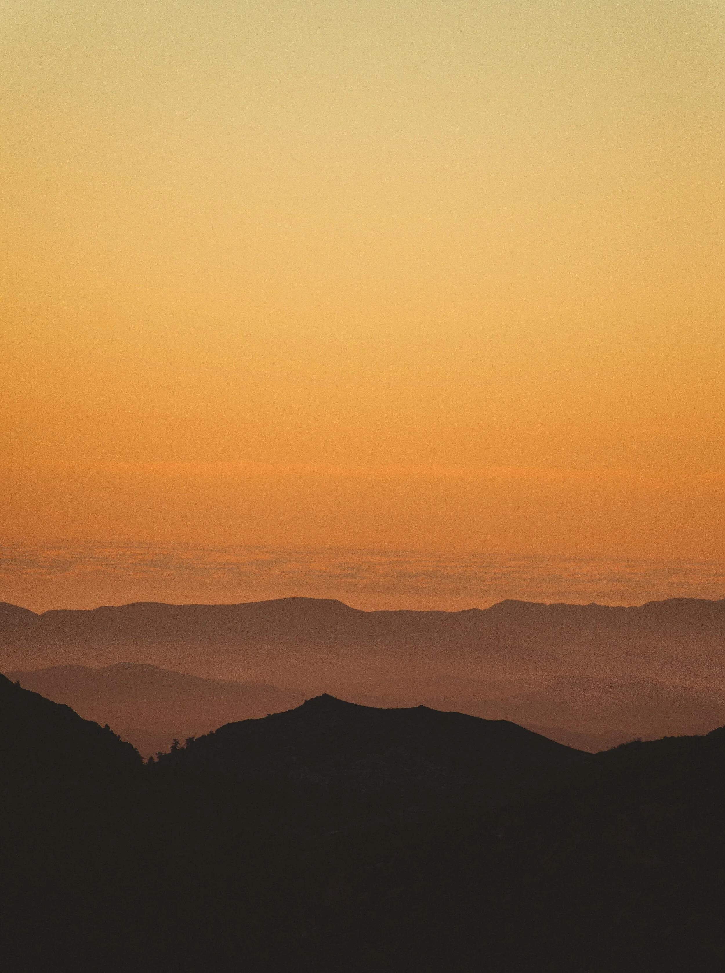 DSC_3729-2.jpg