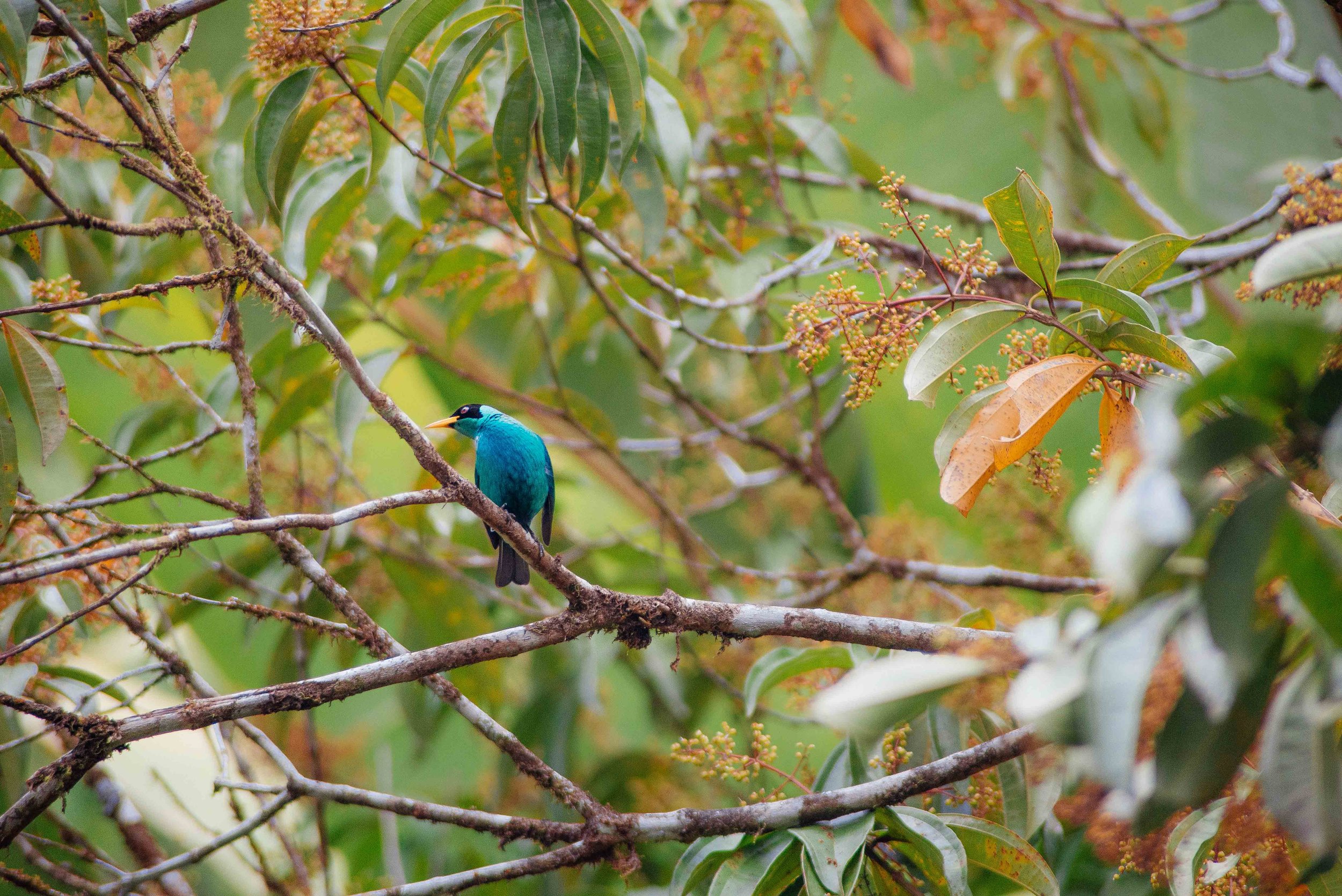 DSC_1569.jpg