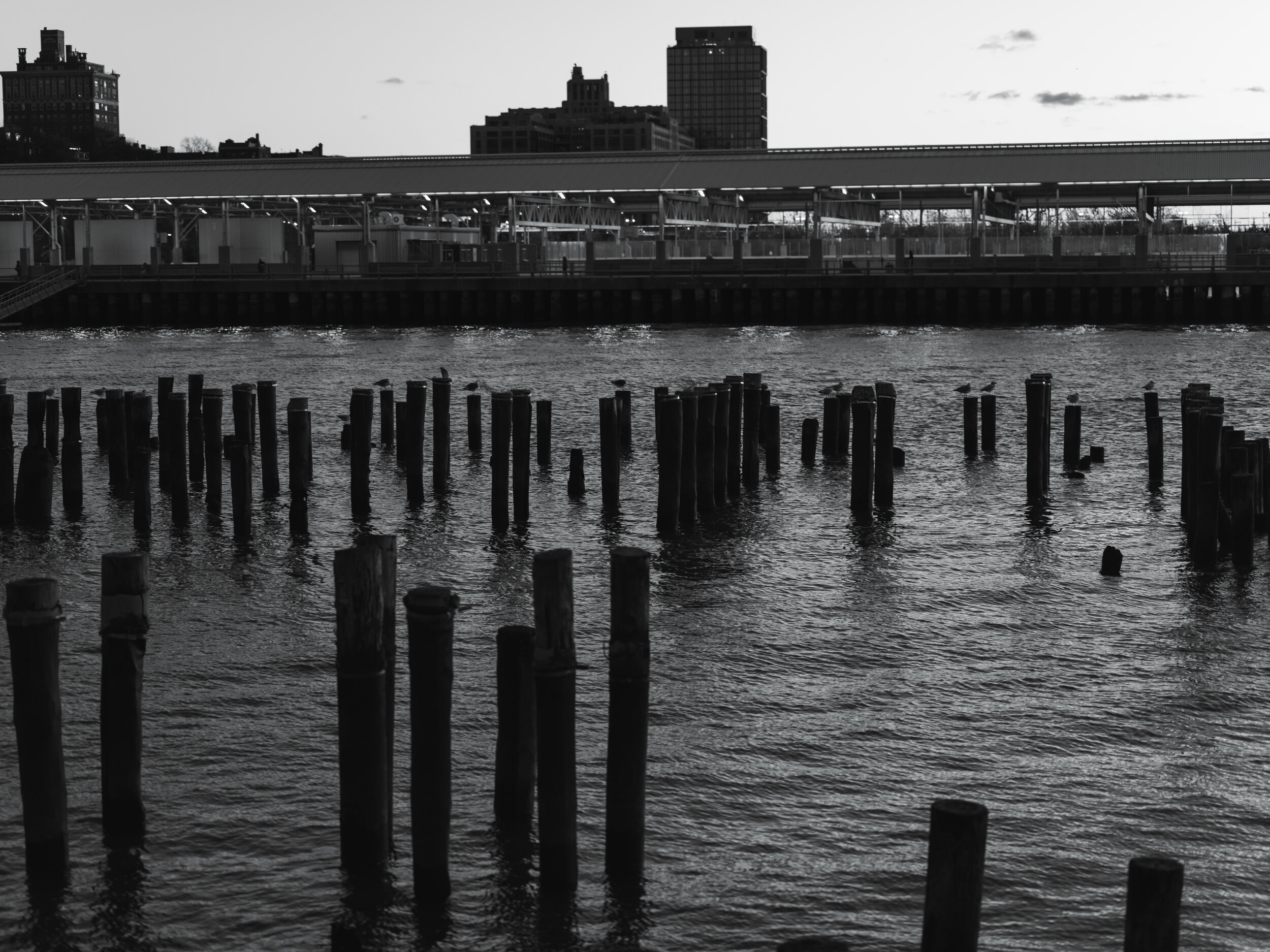 Pier 1 again