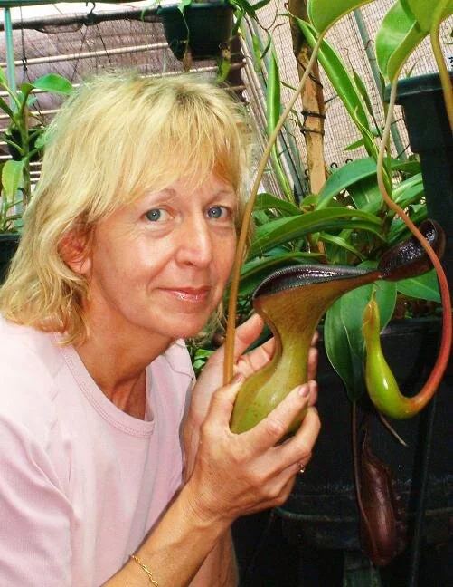BE-3100c upper pitcher in nursery.jpg