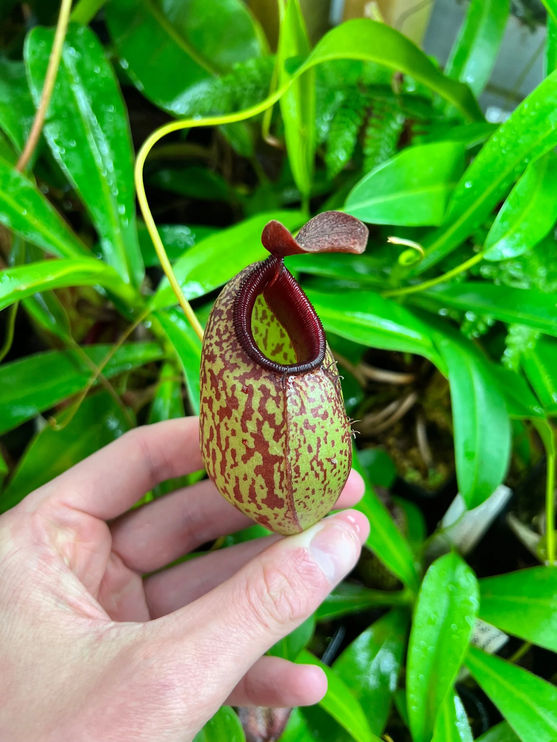 FBFA211E-CBD5-4DA9-AA9F-CD98415F26D1