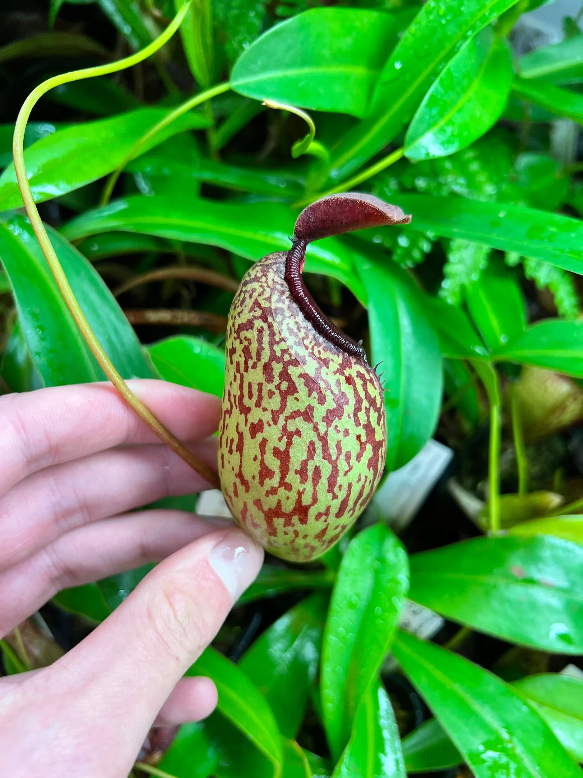 22FA5662-1ACB-4A7F-88F0-13DE6875D70B