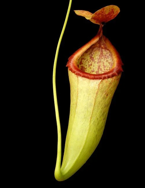 BE-3473b one clone.JPG