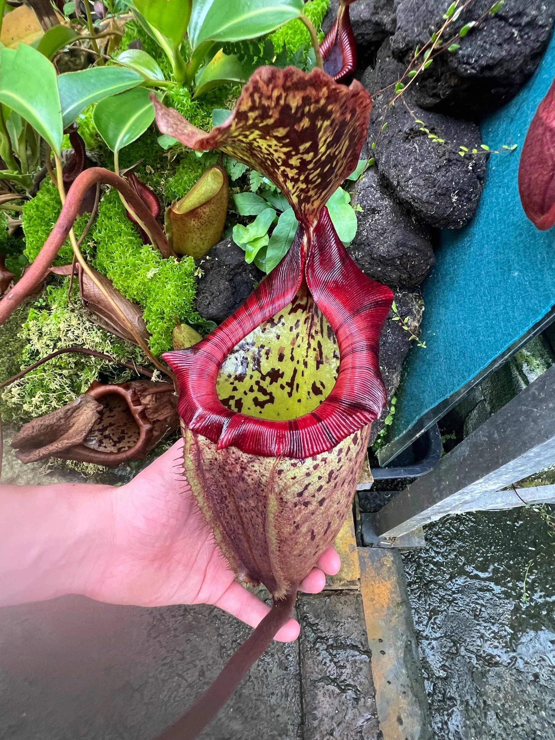 605DBEEA-7076-4291-BC74-08A1D8B6A4BE