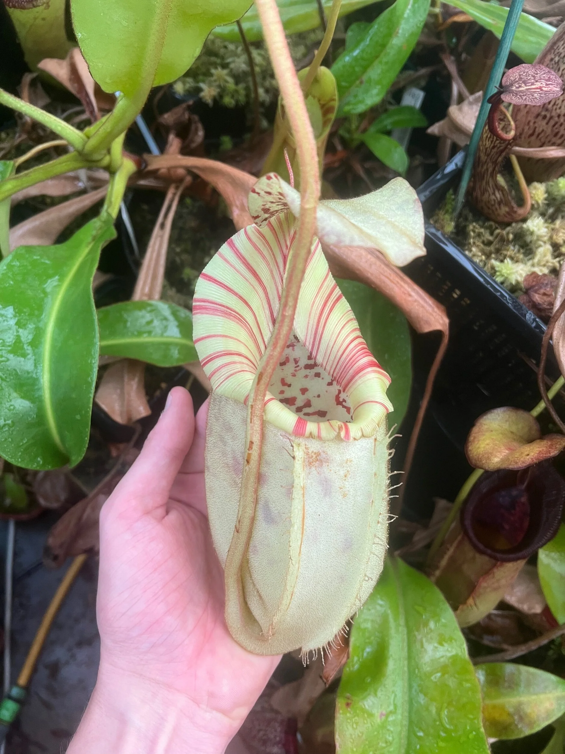 6FEB84A4-E093-49E7-B9B2-530C804AD6F6