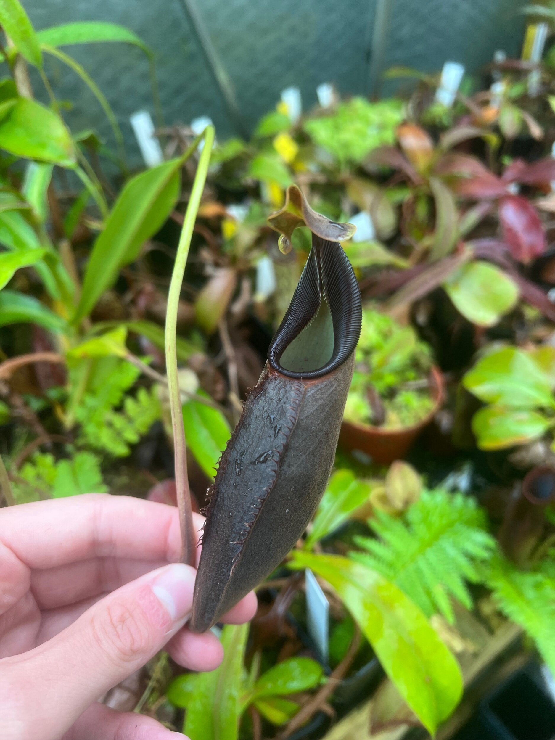 054C489A-D0C7-4C59-A904-D94615EDF670