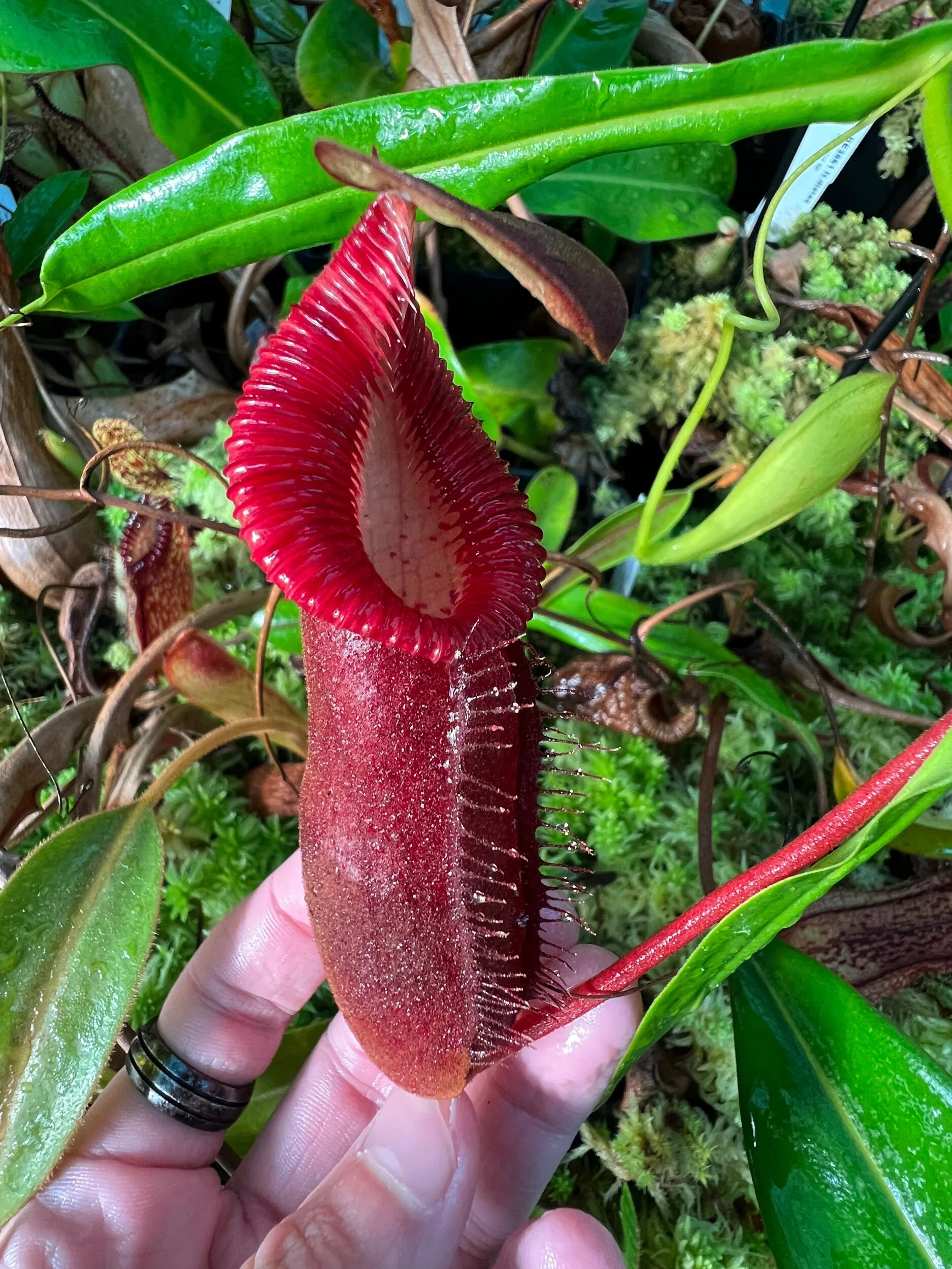 0EB6AA99-DD7B-4B3D-9263-B1221B7F0595