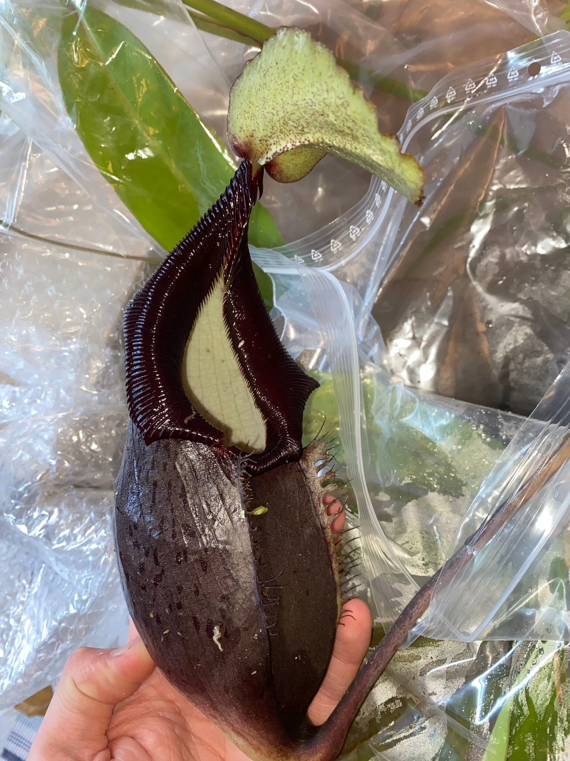 2F13C1DD-ED70-4EDE-AF19-DF2DE5ACFBE2