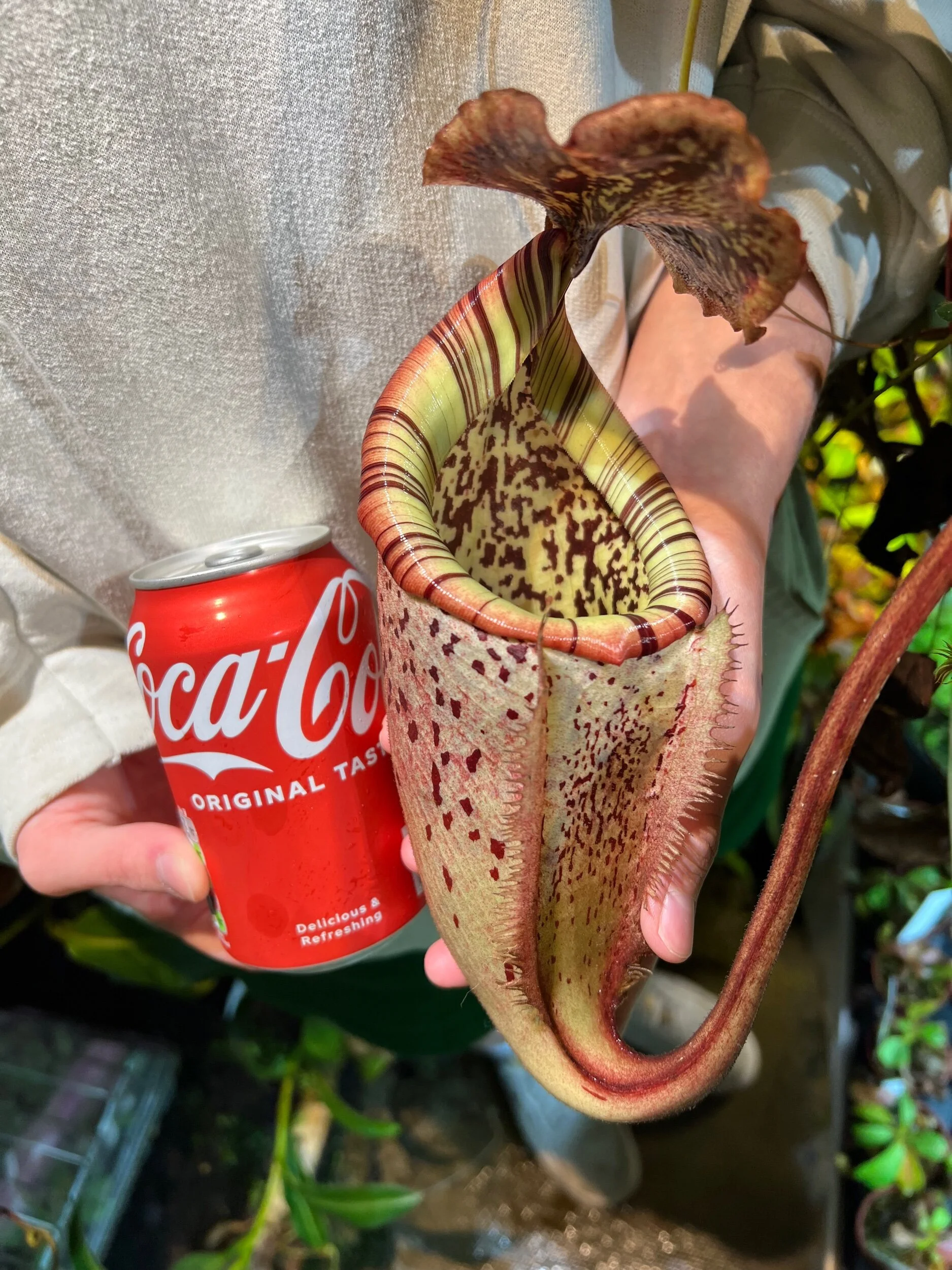 F924A526-2F62-40B7-B03B-5E68EF625450