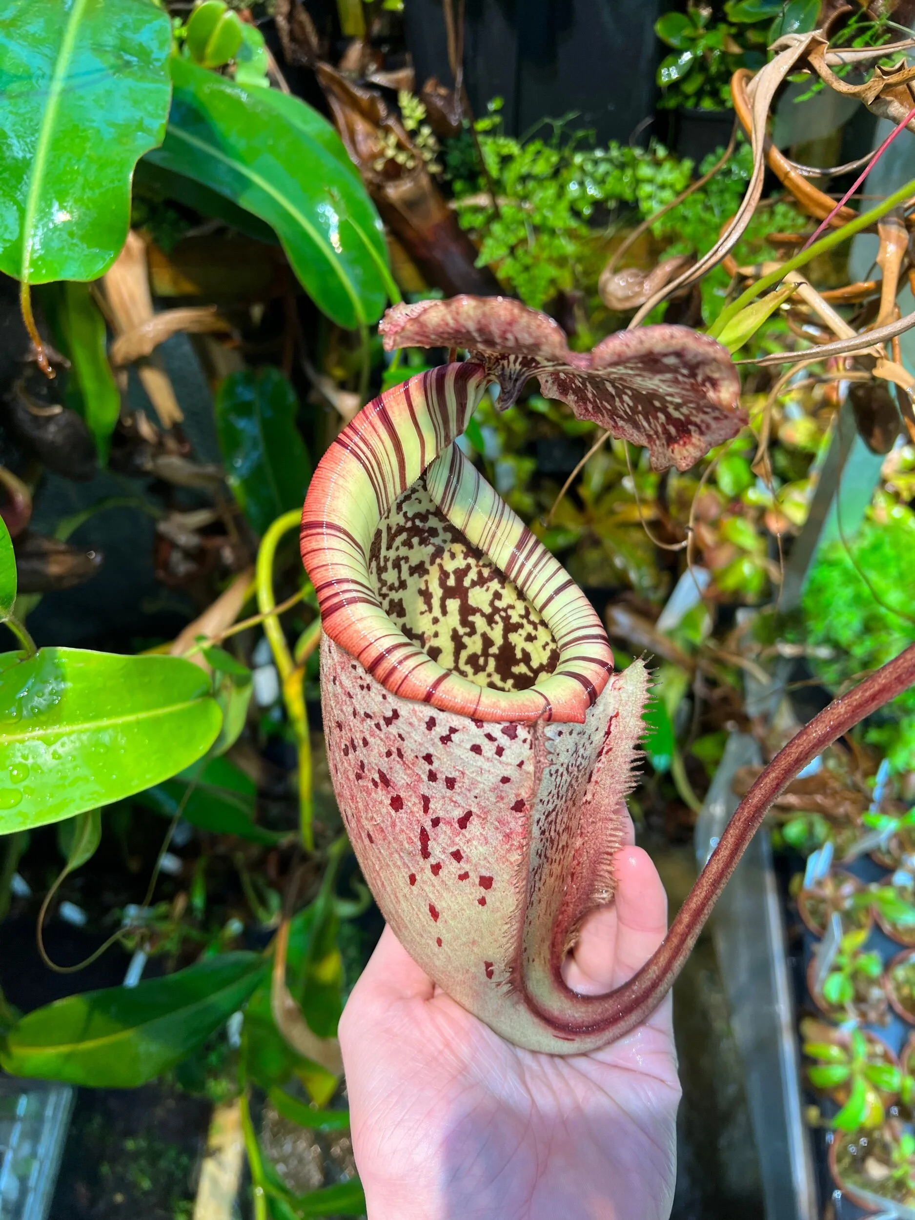 B90C301A-046C-432E-A955-561DAF826C6F