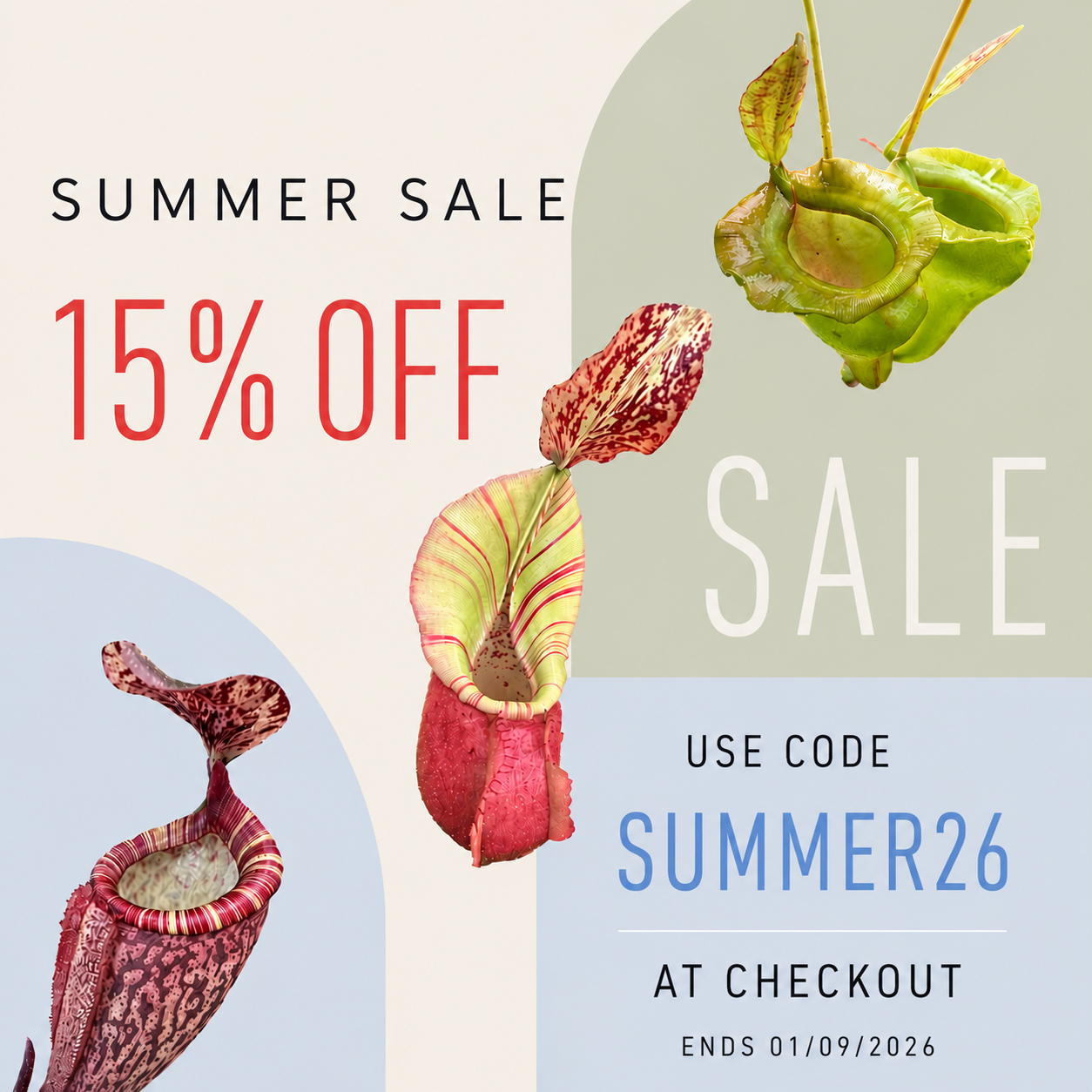 SUMMSALE.png