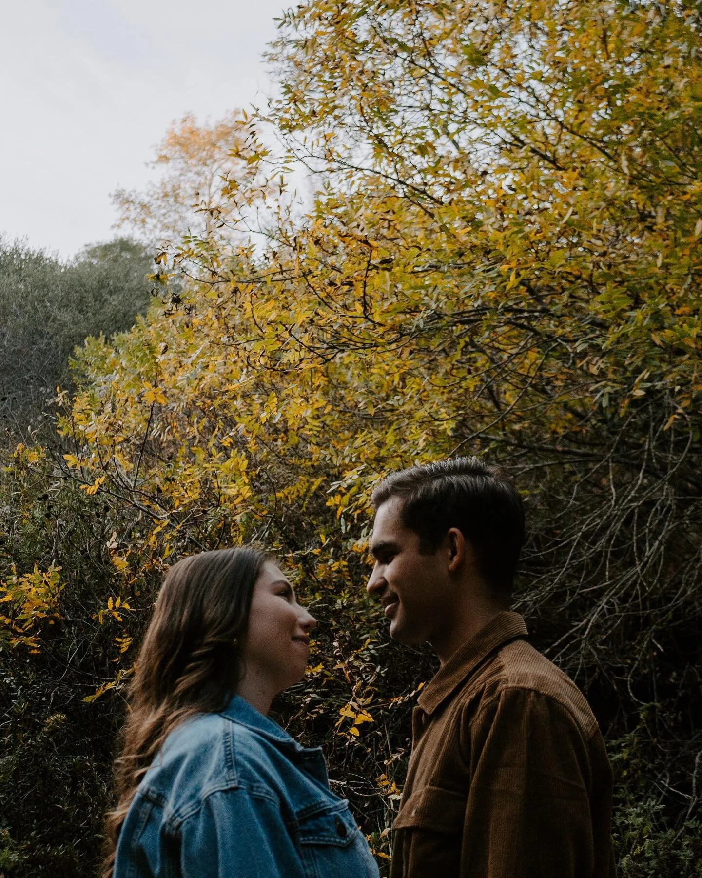 Fall sessions have a special place in my heart 🍂
