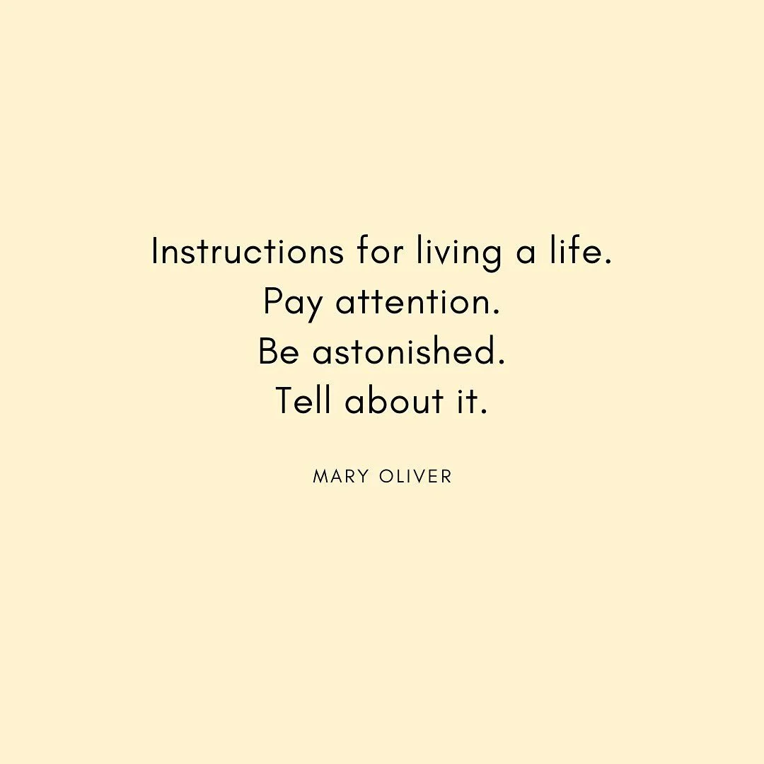 For life and art ✨
.
.
#maryoliver #songwriting #poetry #songwritingprocess #songwritingworkshop #creativity