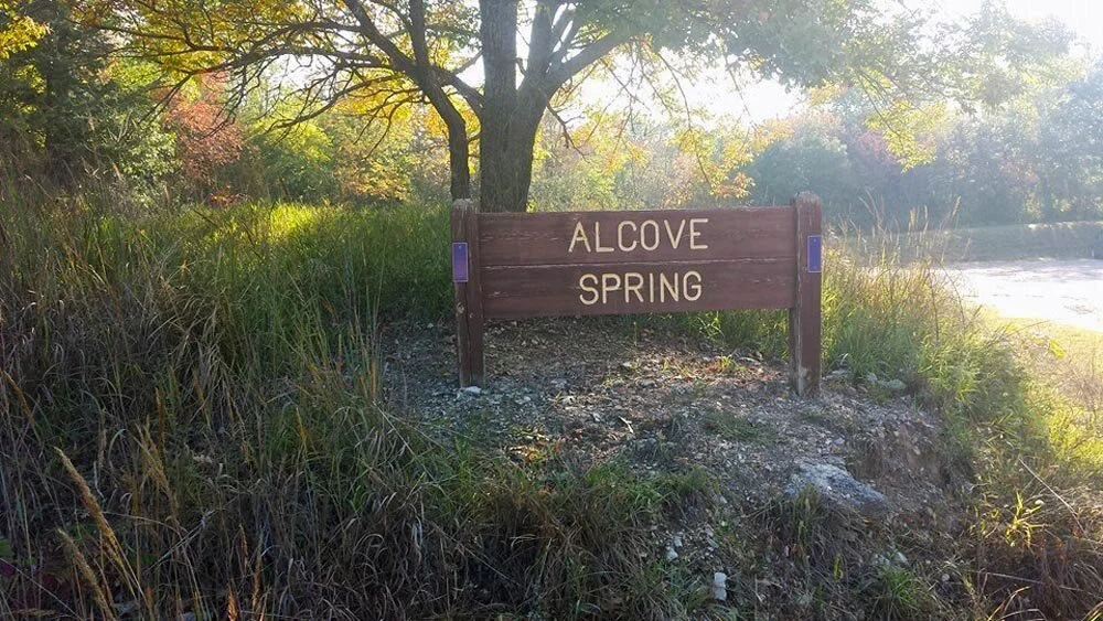 Alcove-Spring-Sign.jpg