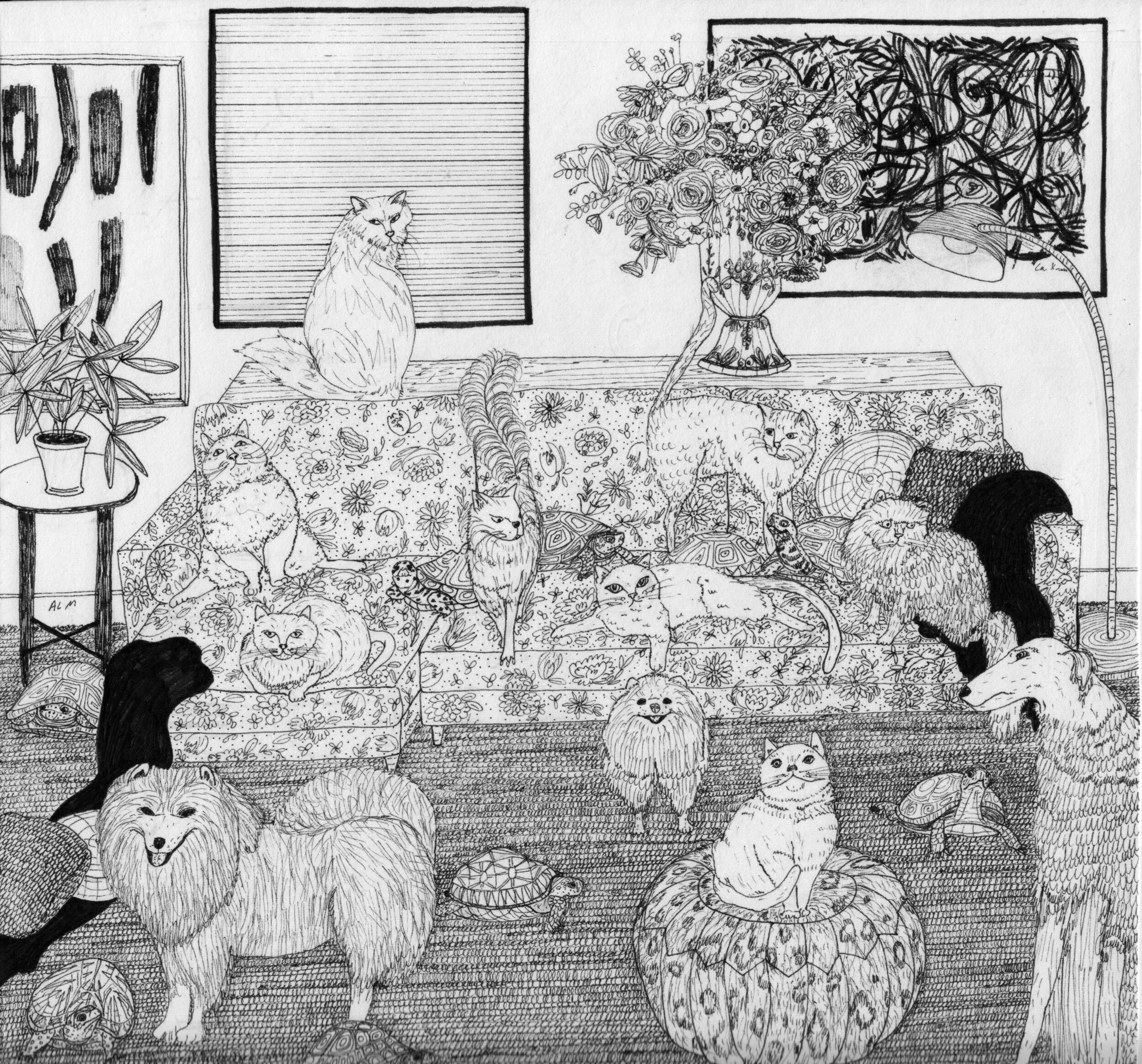 A Tale of Two Couches