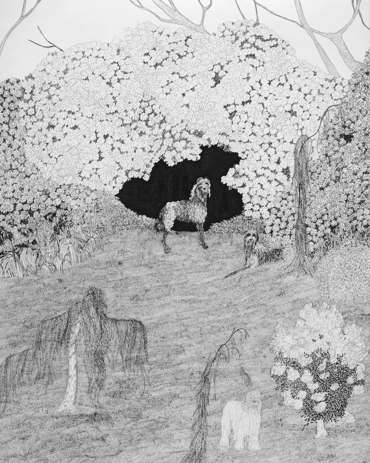 The Other Other Side of the Rhododendron